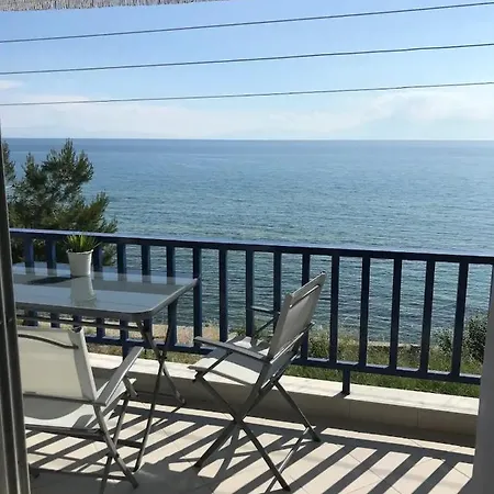 アパート Elena's House